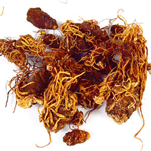 1 Lb Beth Root whole