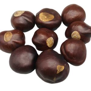 1 Lb Buckeyes whole