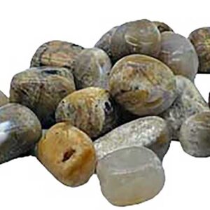 1 lb Agate, Dendritic tumbled