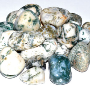 1 lb Agate, Tree tumbled stones