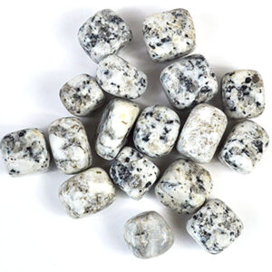 1 lb Jasper, Dalmation tumbled stones