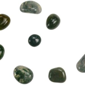 1 lb Moss Agate tumbled stones