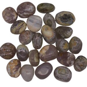 1 lb Opalized Petrified Wood tumbled stones