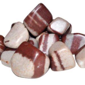 1 lb Shiva Lingam tumbled stones