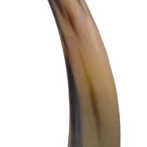 12" Horn End