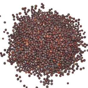 Brown Mustard Seed 2oz