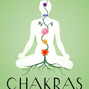 Chakras, an Introduction by Sasha Fenton