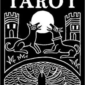 Inversion Tarot tin by Jody Boginski Barbessi