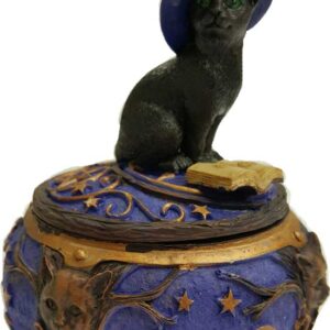Magical Cat Box