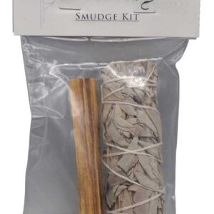Money manifest it smudge kit