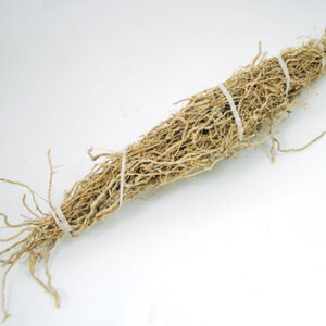 Patchouli Root 1 root bundle (Pogostemon cablin)