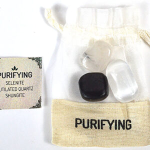 Purifying kit