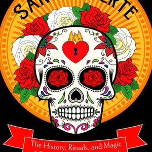 Santa Muerte, History, Rituals, & Magic by Tracey Rollin