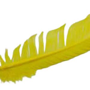 (set of 10) Yellow feather 12"