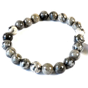 8mm Map Stone Jasper bracelet