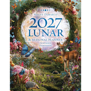 2027 Lunar PLANNER by Stacey Demarco